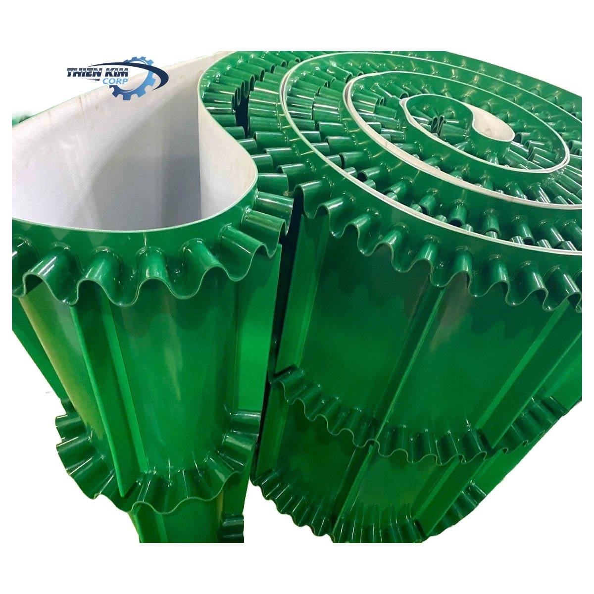 BANG-Tai-beo-1.jpg Băng tải PVC xanh dán tai bèo - Ảnh 1