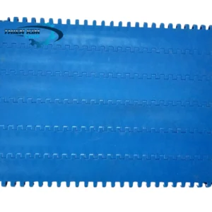 Băng tải nhựa 11